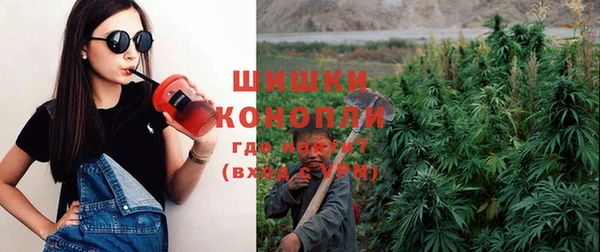 бошки Абинск