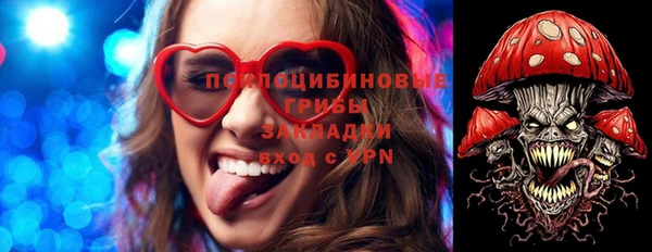 бошки Абинск