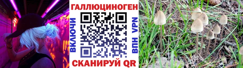 Псилоцибиновые грибы Psilocybine cubensis blacksprut рабочий сайт Сызрань shop Telegram купить сайты